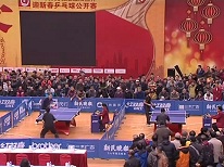 上海体育-2013新民晚报“红双喜”杯迎新春乒乓球公开赛落